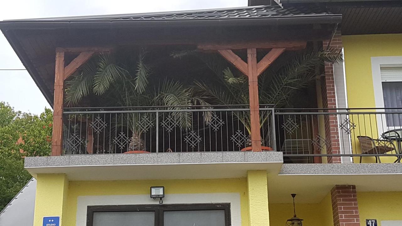 Apartmani Ksenija クラピンスケ・トプリツェ エクステリア 写真